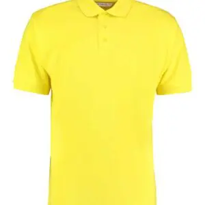 Polo - Canary